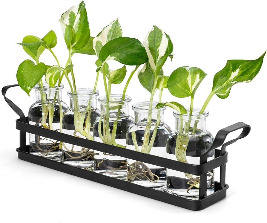 Mkono Plant Terrarium with Metal Stand, Retro Glass Planter Tabletop Flower Vase Perfect for Prop... | Amazon (US)