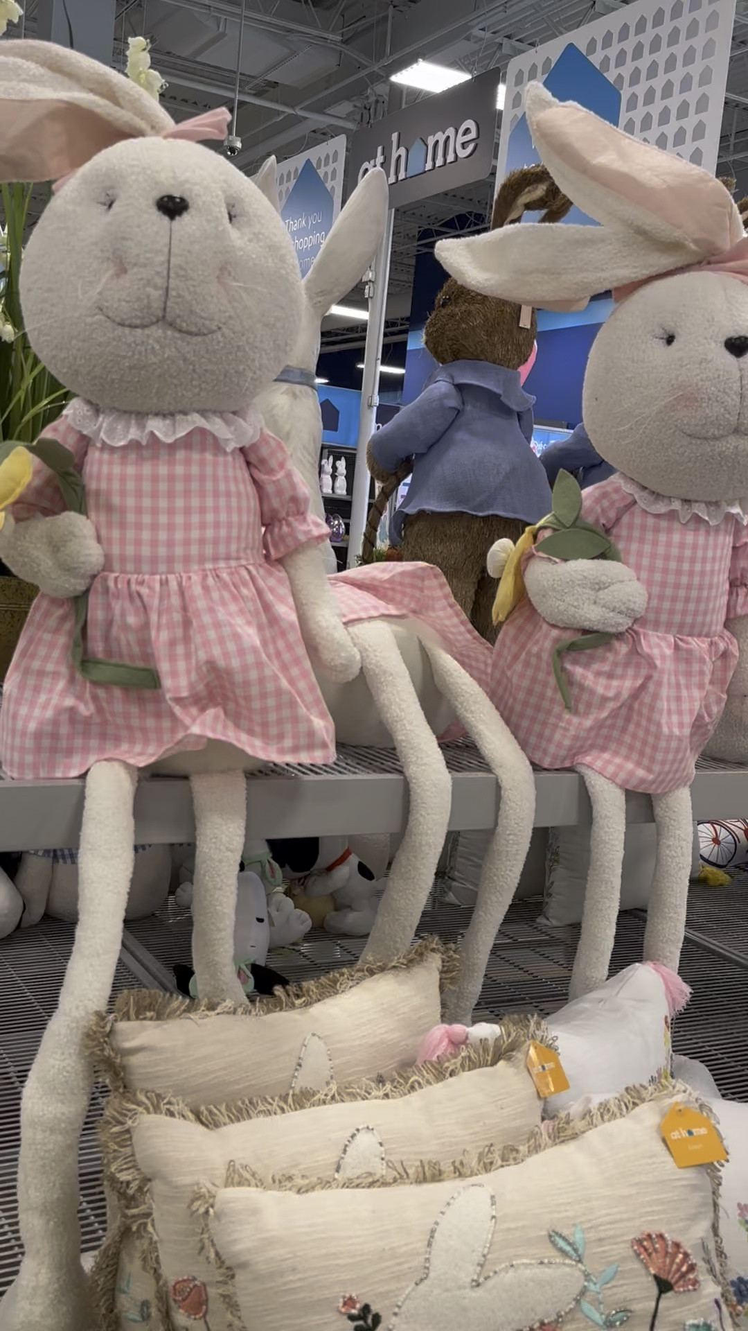 Hop Little Bunny #happyeaster

#LTKSeasonal