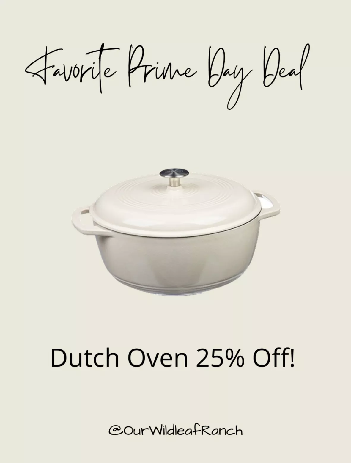 Early Prime Day deal: The top-selling  Basics Dutch oven is $30