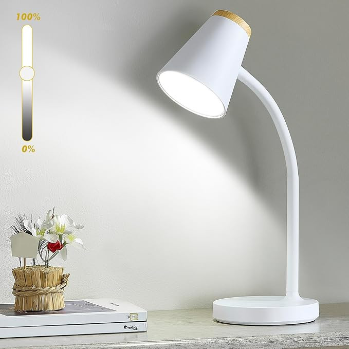 EJIAXIN Desk Lamp for College Dorm Room - Small LED Desk Lamp Touch Dimmable Reading Light for Ho... | Amazon (US)