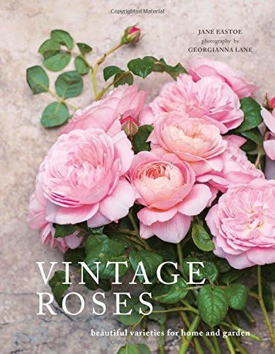 Vintage Roses: Beautiful Varieties for Home and Garden | Amazon (US)