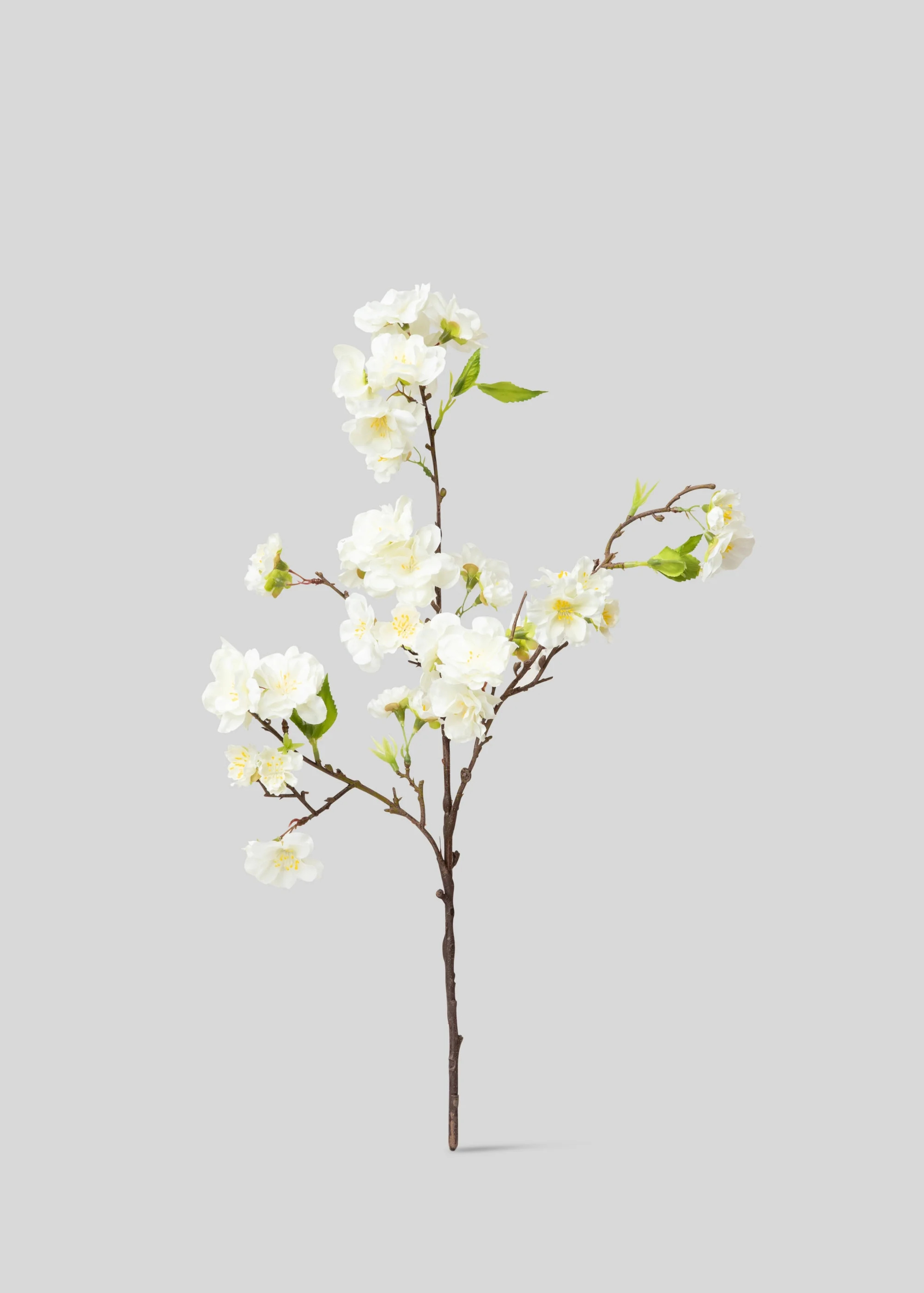 Cherry Blossom Pick in Cream | Artificial Spring Flowers | Afloral | Afloral
