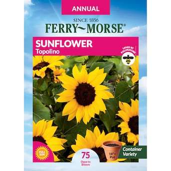 Ferry-Morse A SUNFLOWER TOPOLINO Lowes.com | Lowe's