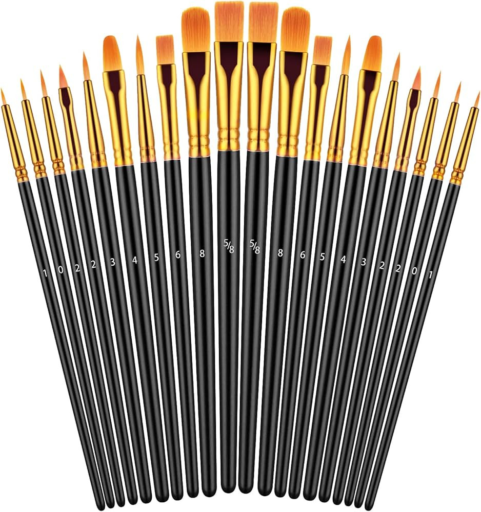 Paint Brushes Set, 20 Pcs Paint Brushes for Acrylic Painting, Oil Watercolor Acrylic Paint Brush,... | Amazon (US)