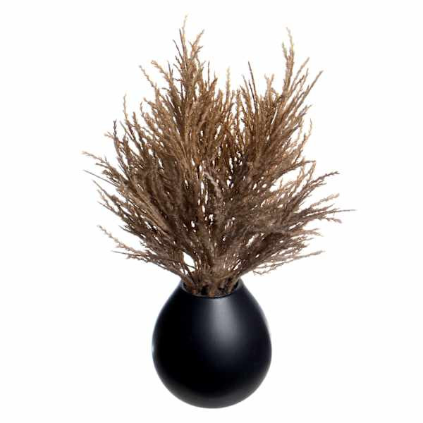 Crosby St. Pampas Grass in Black Pot, 16" | At Home