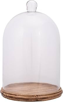 DEMDACO Large Clear and Woodgrain 12 x 8 Glass and Wood Cloche with Base | Amazon (US)