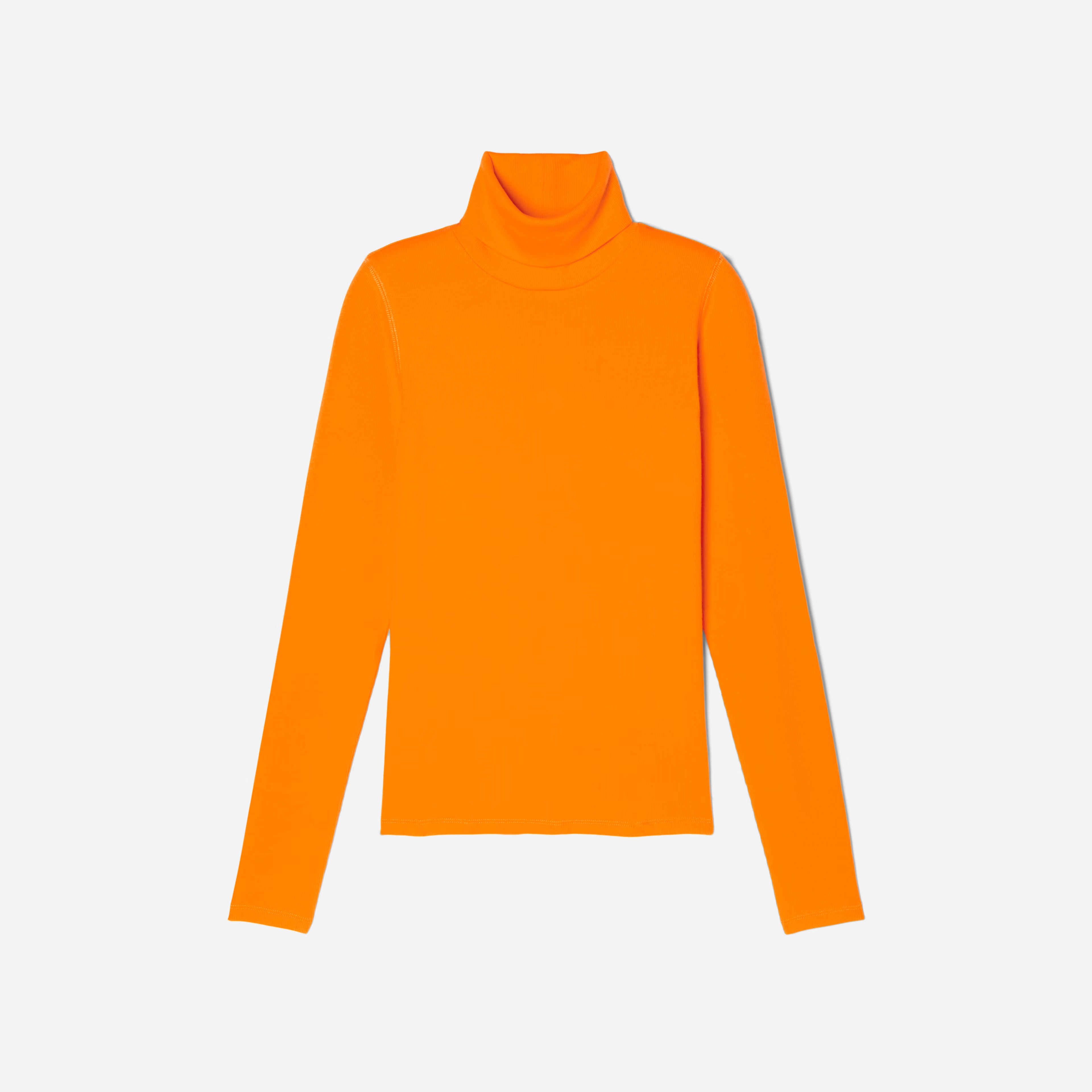 The Pima Micro-Rib Turtleneck | Everlane