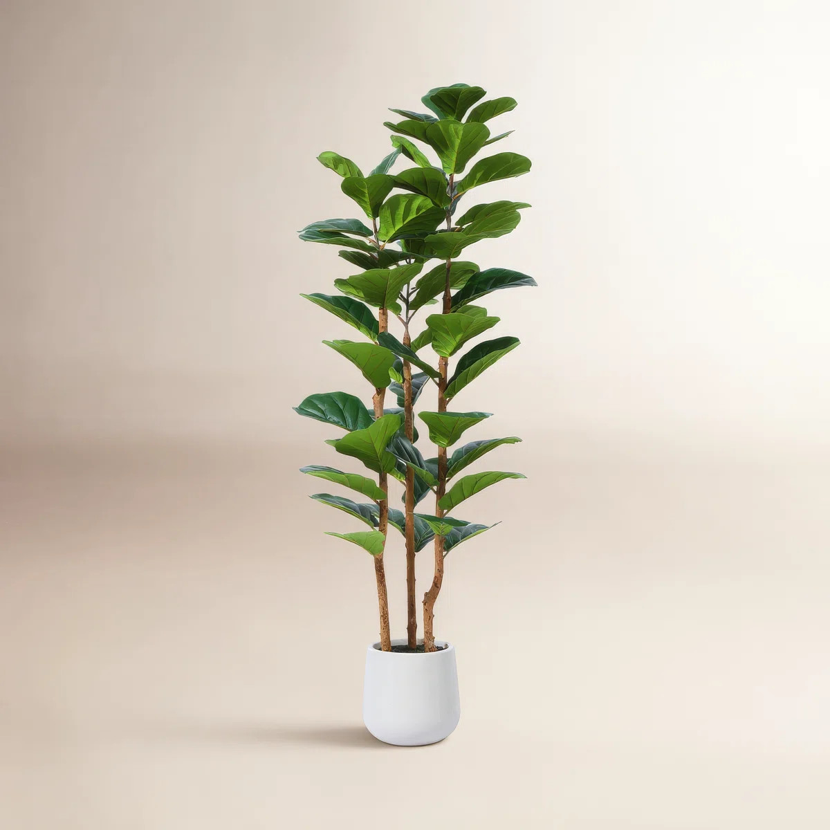 Adarna 60" Artificial Fiddle Leaf Fig Tree with Realistic Leaves and Natural Trunk, Potted Tree | Wayfair North America