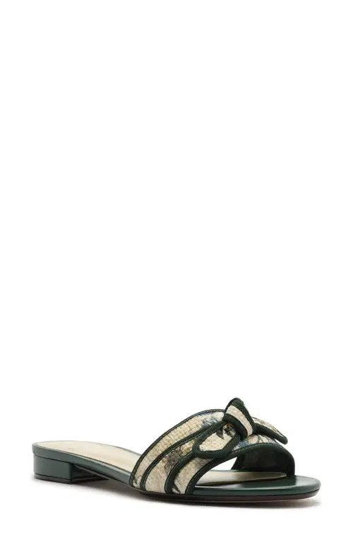 Alexandre Birman x Agua by Agua Bendita Grosgrain Raffia Slide Sandal in Laguna Off/Green at Nordstrom, Size 7 | Nordstrom
