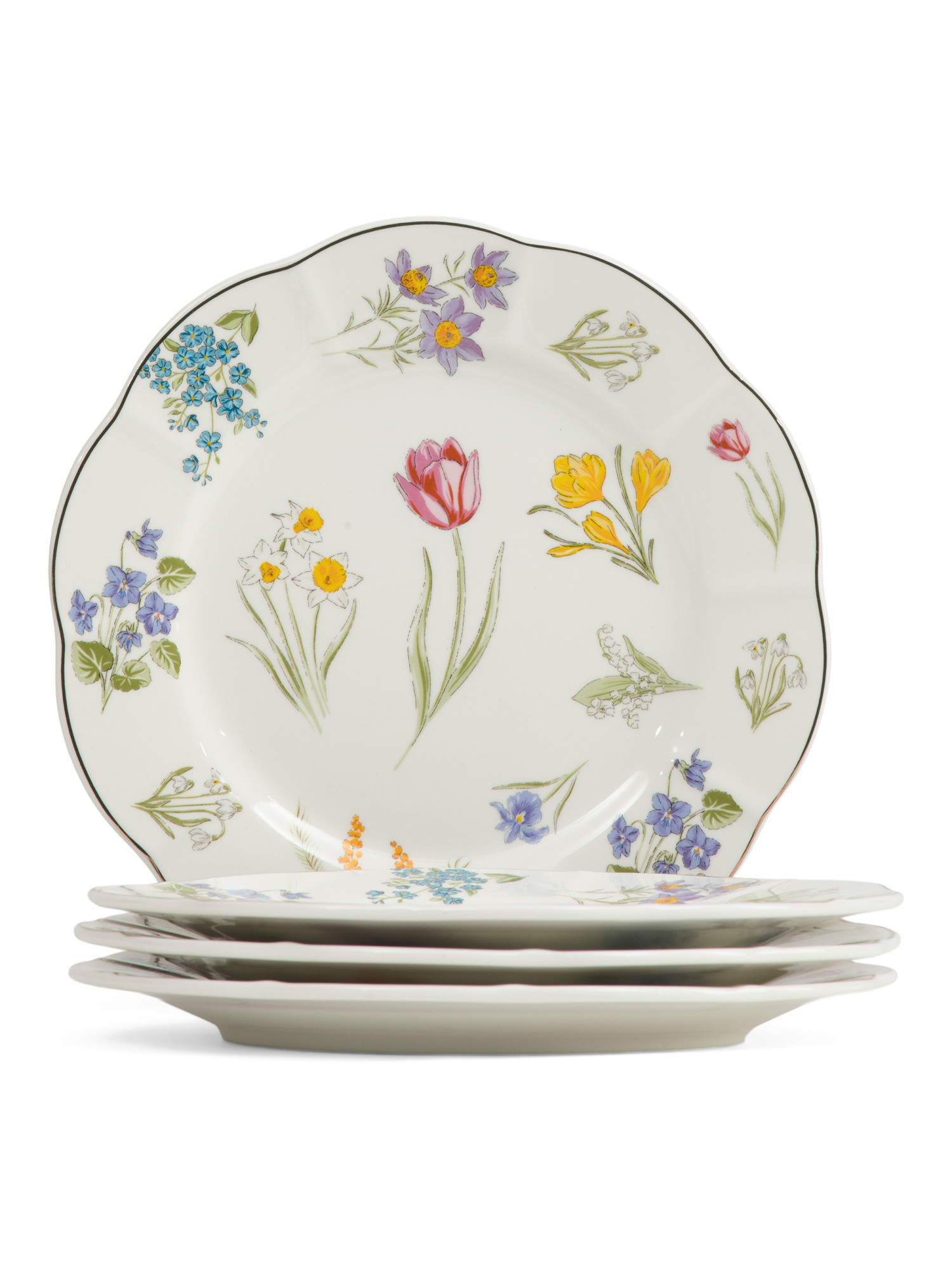 Set Of 4 Fine Porcelain Tulip Garden Salad Plates | TJ Maxx