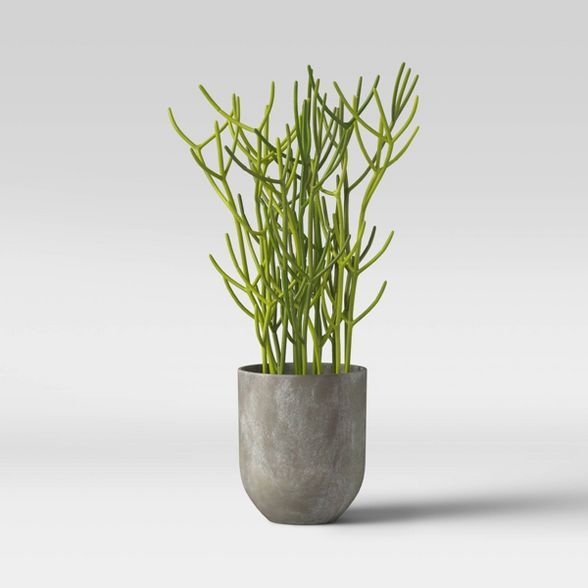 Faux Indian Tree Spurge Plant in Gray Pot - Project 62™ | Target