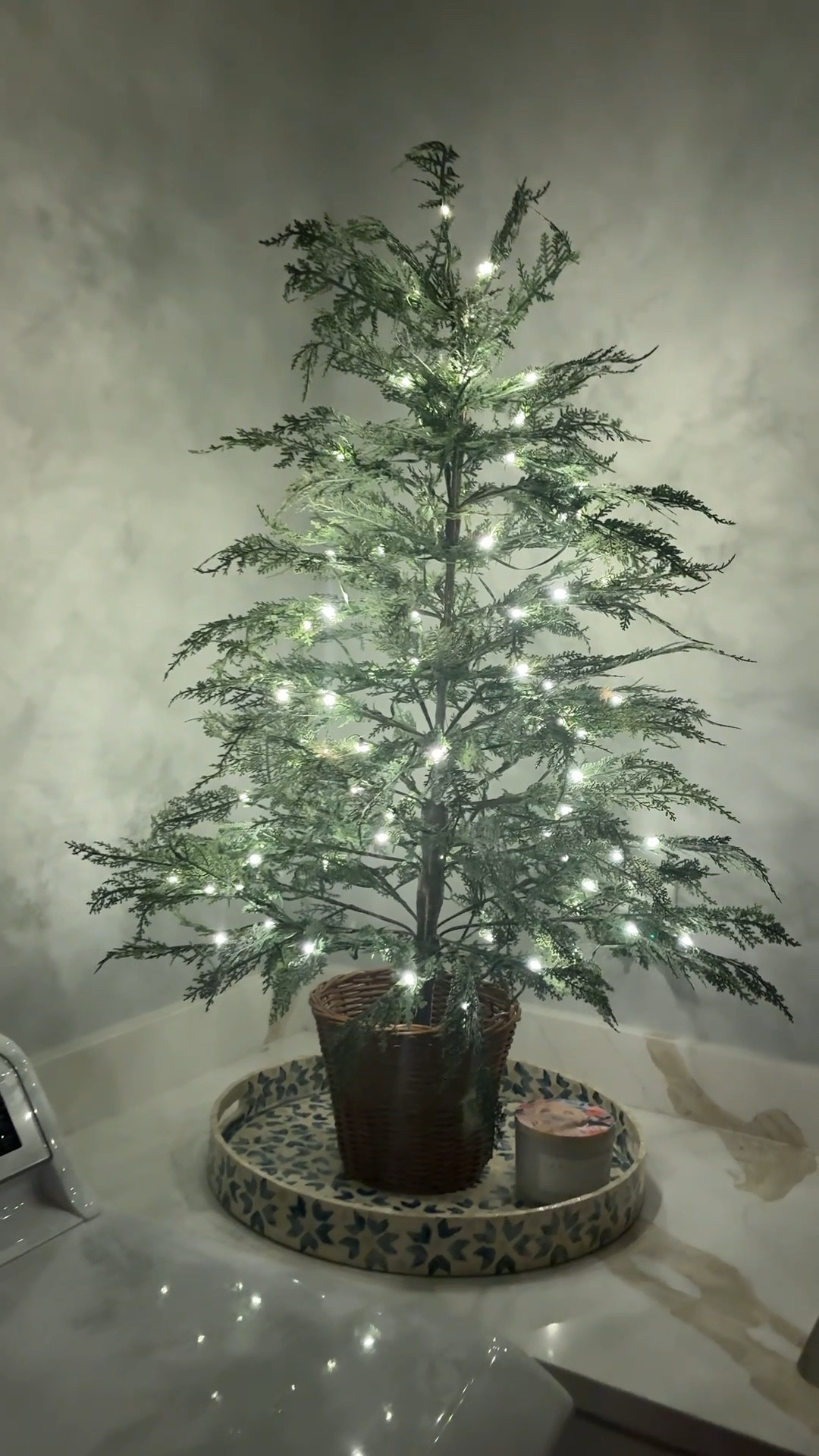 these trees are STUNNING & come in ALL sizes!!! 24” all the way up to 12 feet tall AND have twinkle lights!

Christmas, Christmas trees, twinkle lights, Walmart, twinkle tree, twinkle lights tree, Christmas decor, Christmas decorations, tree

#LTKSaleAlert #LTKHoliday #LTKFindsUnder100