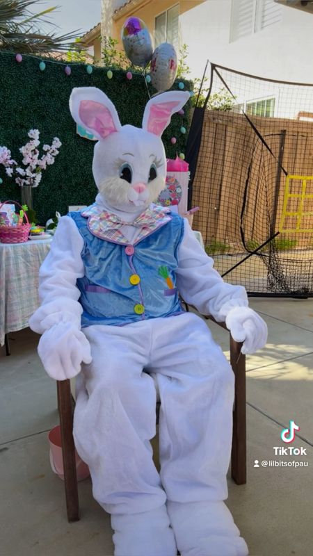 Easter bunny costume, Amazon costume, Easter costume

#LTKSeasonal #LTKkids #LTKfamily