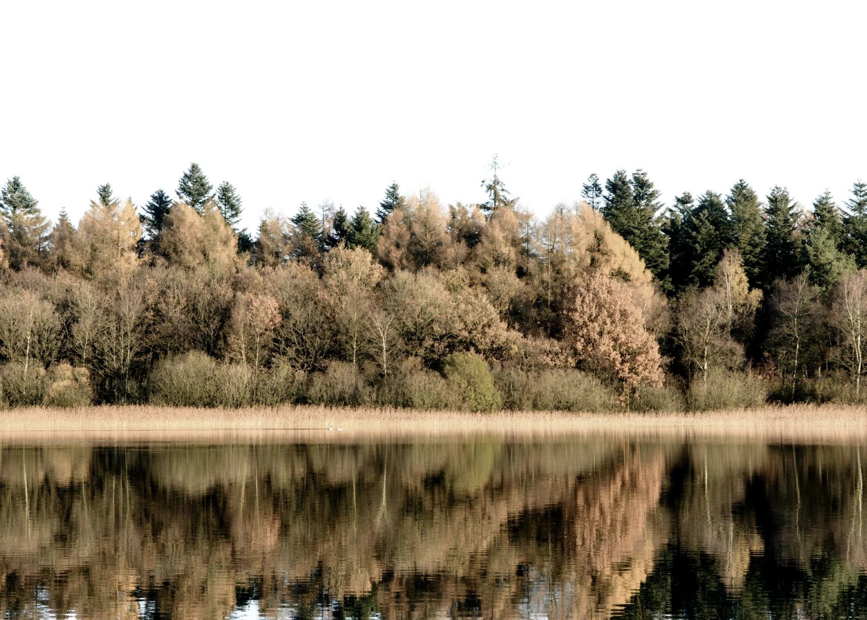 Fall Reflection | Collection Prints