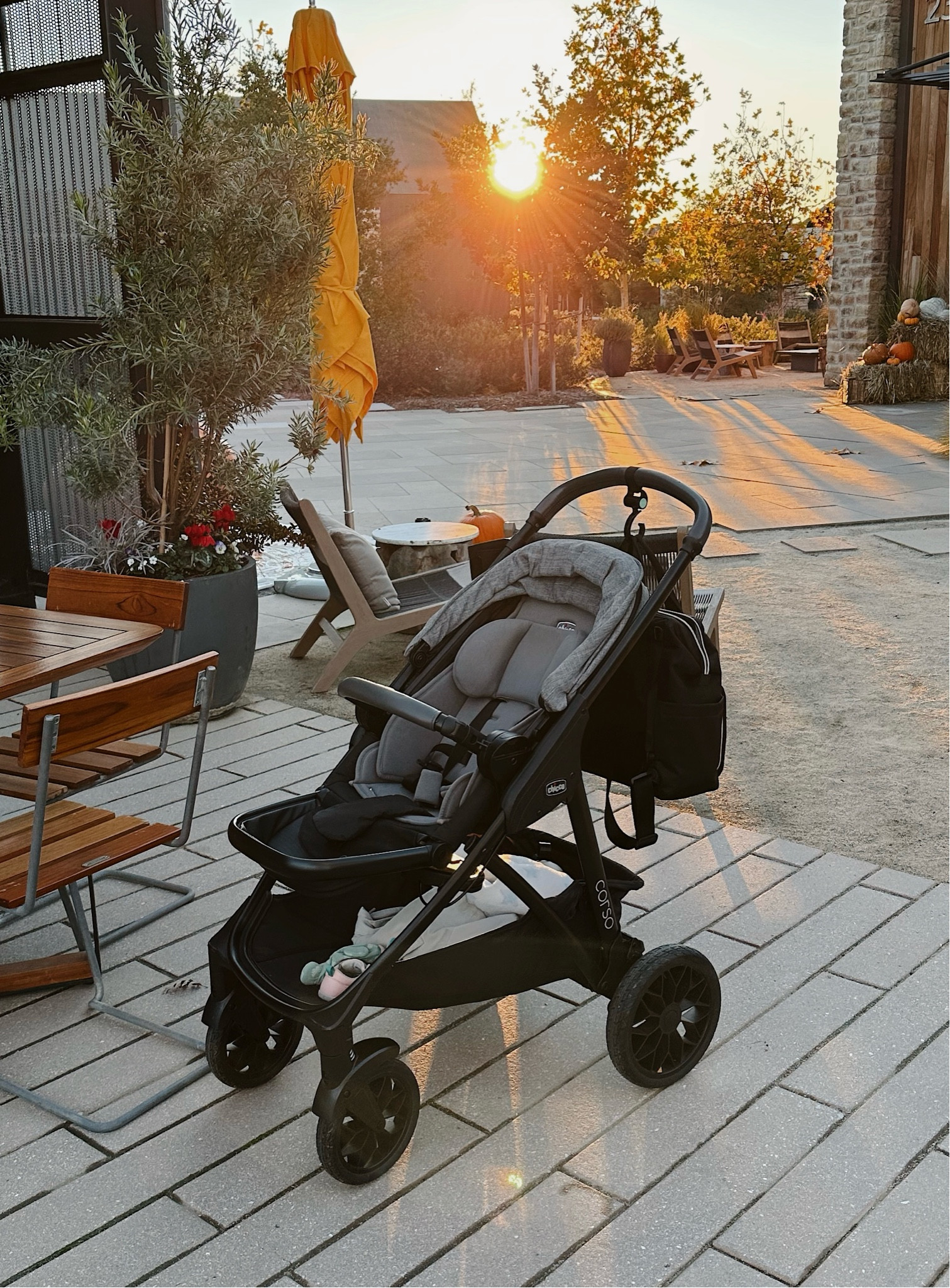 A moment of appreciation for our Chicco Corso that has traveled the world with us. 

We’re in the final days of prepping for baby number two, but have loved every minute of using the Chicco Corso Primo ClearTex Travel System for our first. 

It’s been great for both quick trips around the block and our bigger adventures across the country and even to Europe this spring. The car seat clips in so easily and our daughter has loved the stroller seat—while we’ve loved how easy it is to drive. 

The other two big selling points for us were the high safety rating of the car seat and the fact that the stroller and car seat are GREENGUARD Gold certified—for a fraction of the price of other brands.

When traveling with it, we typically use some combination of the tagged items, depending on the weather and which pieces we’re taking with us.

While it doesn’t convert to carry two kids, we’re still forever fans and won’t be letting go of it just yet!

📍Stanley Ranch, Auberge Resorts Collection in Napa Valley, California

#LTKFamily #LTKBaby #LTKTravel