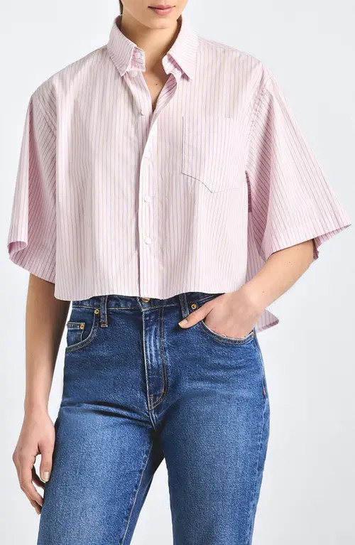Derek Lam 10 Crosby Ember Cropped Button-Up Shirt in Pink Stripe at Nordstrom, Size Small | Nordstrom