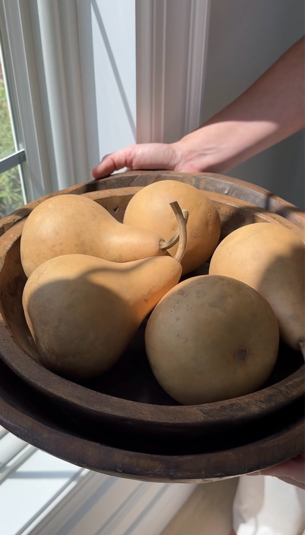 These gourds are the best color, and they’re actually real! They’re the best deep yellow and look amazing for fall!

#LTKSeasonal #LTKHome