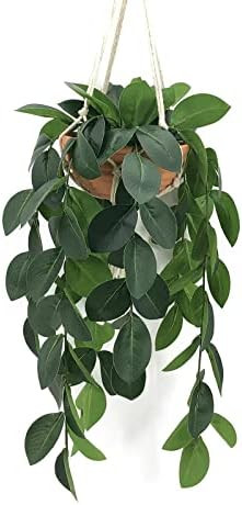 Hanging Plants Artificial Decor, Fake Hanging Plant in Clay Pot Artificial Hanging Plants with Fa... | Amazon (US)