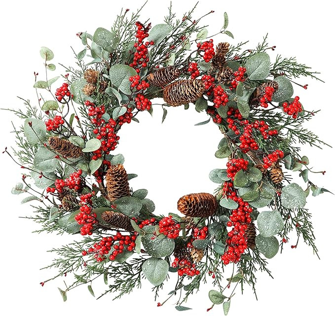 YNYLCHMX 22 Inch Christmas Wreath for Front Door, Winter Wreath with Eucalyptus Leaves Red Berry ... | Amazon (US)