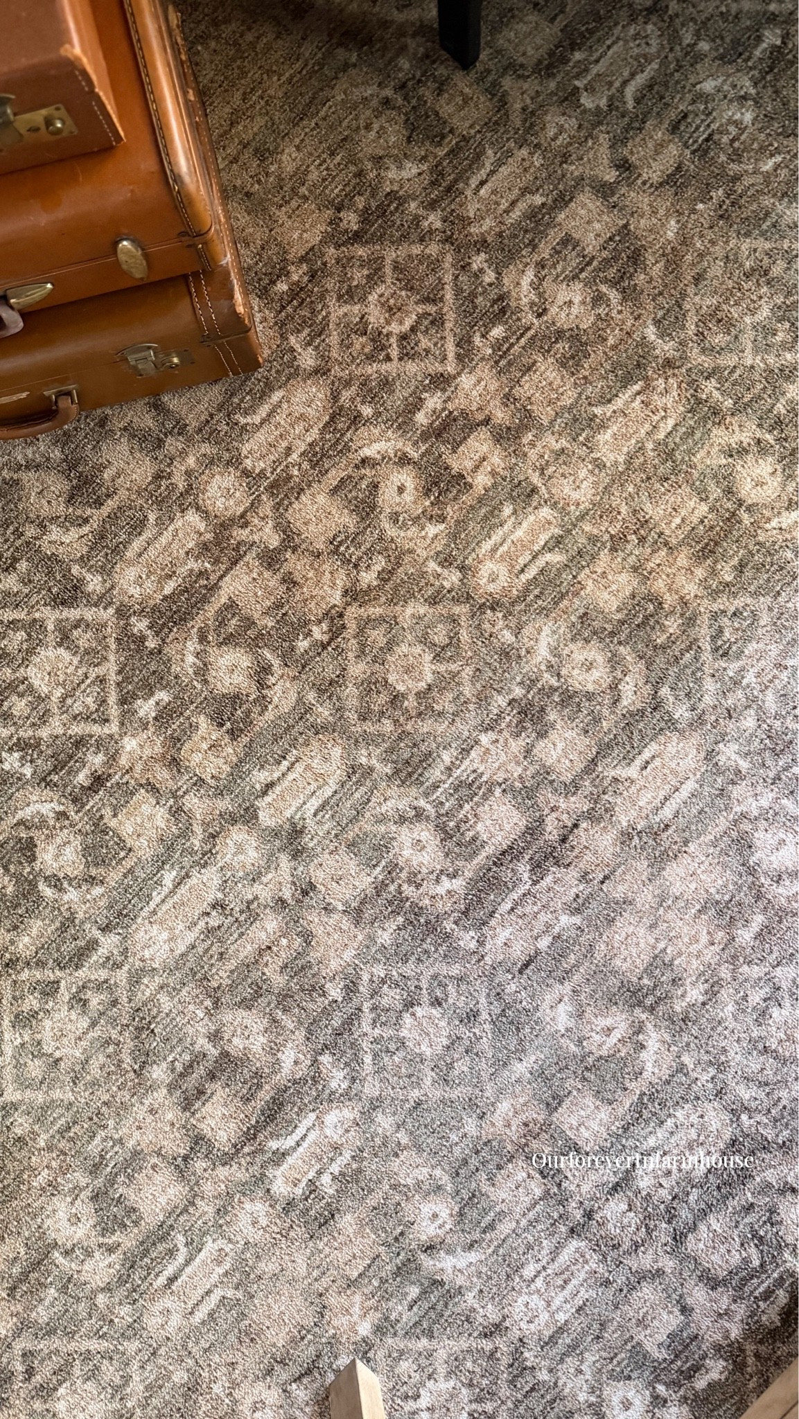 A little office rug refresh. 🤎🌿

This is the Storrie rug in Lagoon/Earth from the new Magnolia Home by Joanna Gaines × Loloi collection, and I LOVE the mix of soft sage and olive greens with warm tan, cream and brown tones in this space.

Storrie was inspired by antique Turkish medallion and floral motifs, with space-dyed yarns that give the colors so much beautiful depth and variation. It’s soft, easy to clean, and adds the prettiest pattern while still feeling warm and subdued.

This launch is also extra special because it celebrates 10 years of Magnolia Home by Joanna Gaines × Loloi! 🤎

I linked my rug and a few of my other favorites from the new collection here! 🤍

@loloirugs @magnolia @joannagaines
#gifted