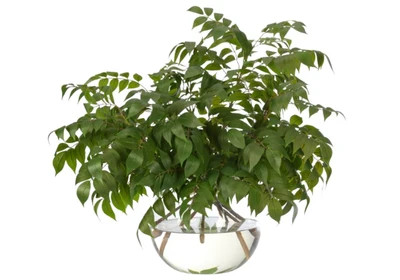 WISTERIA LEAF | 27" | Alice Lane Home Collection