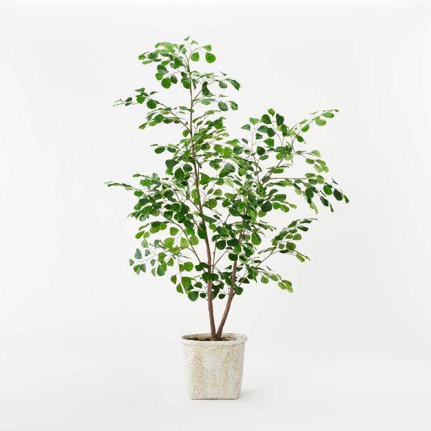 Triangle Ficus Tree - Threshold™ designed with Studio McGee | Target