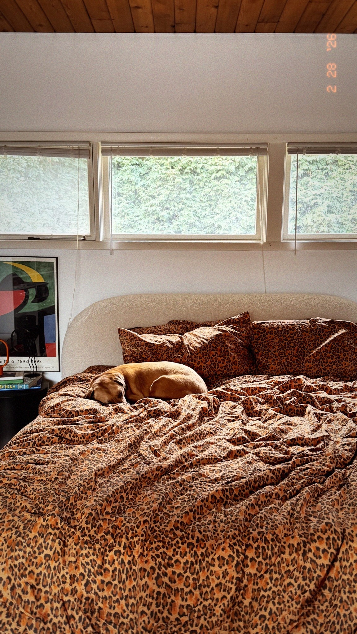 Leopard sheets of my dreams 🙌

#LTKdayinmylife #LTKmorningroutine #LTKHome