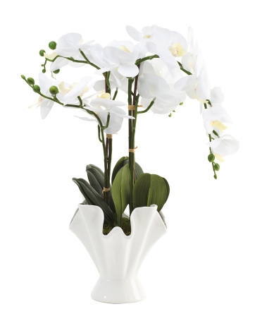 Faux Orchid In Ceramic Pot | Marshalls