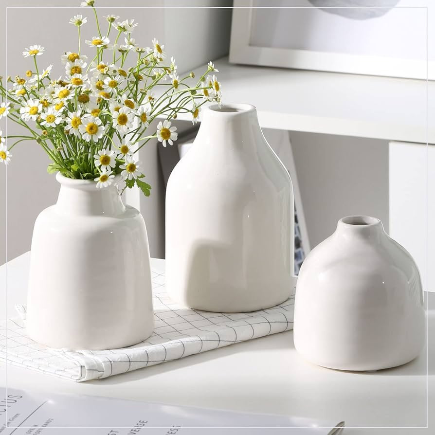 hjn Small White Vase Set of 3 for Modern Home Decor,Ceramic Vases for Centerpieces Flower Vases f... | Amazon (US)