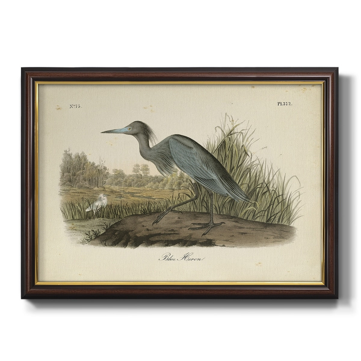 Wexford Home Audubons Blue Heron Premium Framed Canvas- Ready to Hang 16X20 - Mahogany | Walmart (US)