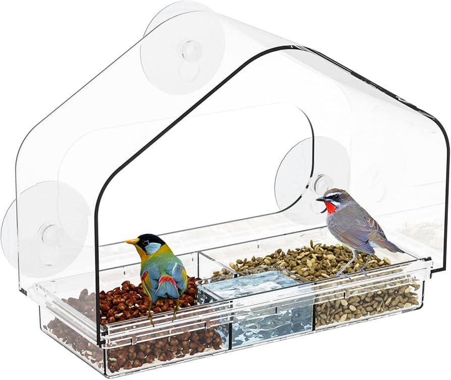 Yieach Window Bird Feeder With Strong Suction Cups and Removable Feed Tray - Clear Viewing for Ga... | Amazon (US)