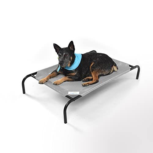 Coolaroo The Original Cooling Elevated Pet Bed, S to L Sizes | Amazon (US)