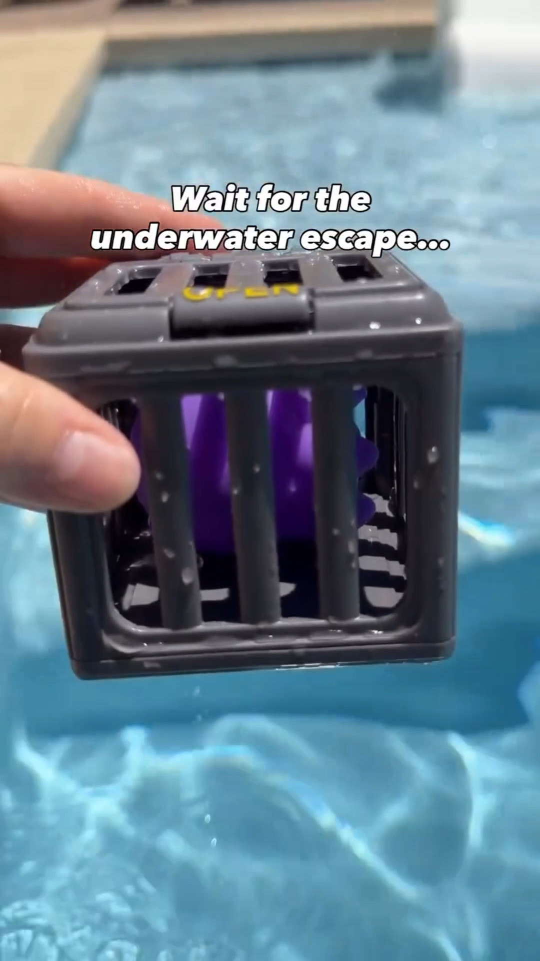 These underwater animal cages were SUCH a hit with my kids 🐠

You just put the animals inside, drop them down, and kids have to dive to push the release button. It’s like a little underwater rescue mission.   

My kids spent an entire hour doing this over and over yesterday. It’s such a great way to build their swimming confidence while having a blast.

#LTKmomlife #LTKSeasonal #LTKKids