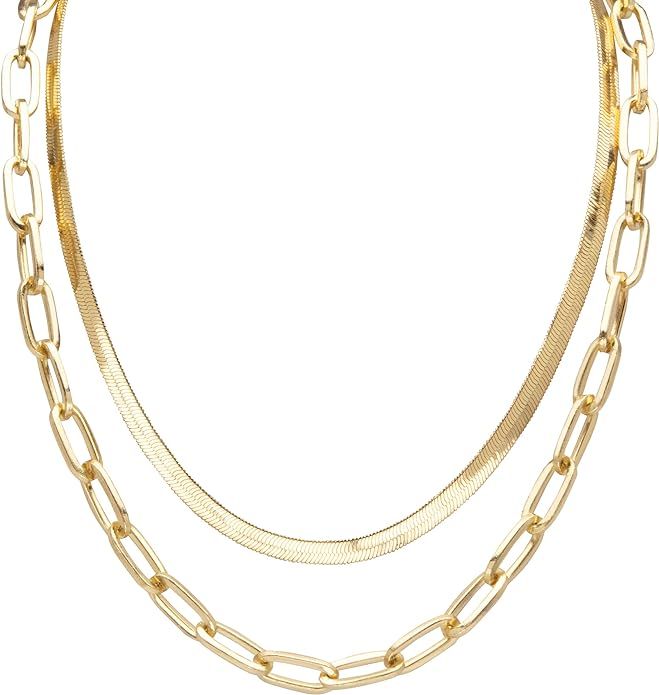 Palm Beach Jewelry Goldtone Mutli-Link Chain Necklace (12mm), Lobster Claw Clasp, 18 inches Plus ... | Amazon (US)