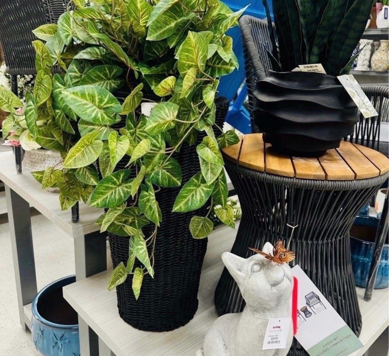 Adding greenery = instant home upgrade 🌿✨
TJ Maxx always has the BEST affordable decor pieces for that cozy aesthetic

#LTKHome
