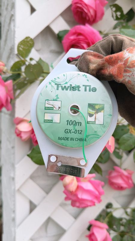 Amazon easy to use green twist tie for climbing roses and any climbing flower you’re training to grow  

#LTKfindsunder50 #LTKhome #LTKVideo