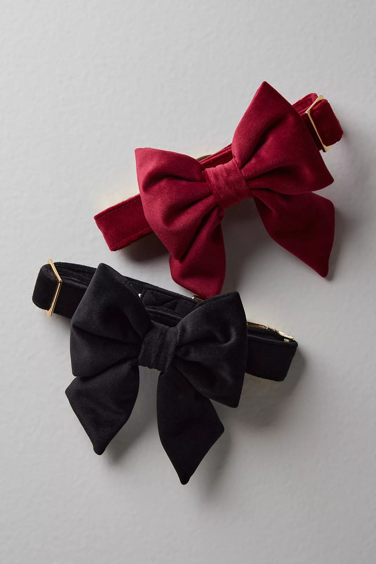 The Foggy Dog Velvet Lady Bow Collar | Free People (Global - UK&FR Excluded)