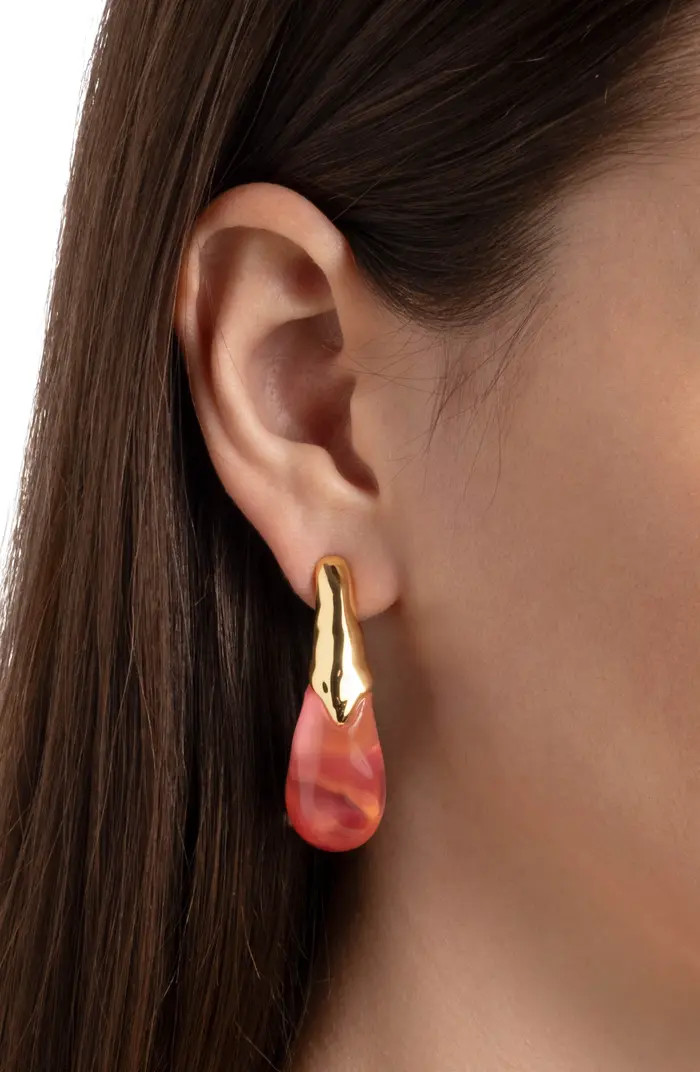 Alexis Bittar Liquid Lucite® Arched Large Drop Earrings | Nordstrom | Nordstrom
