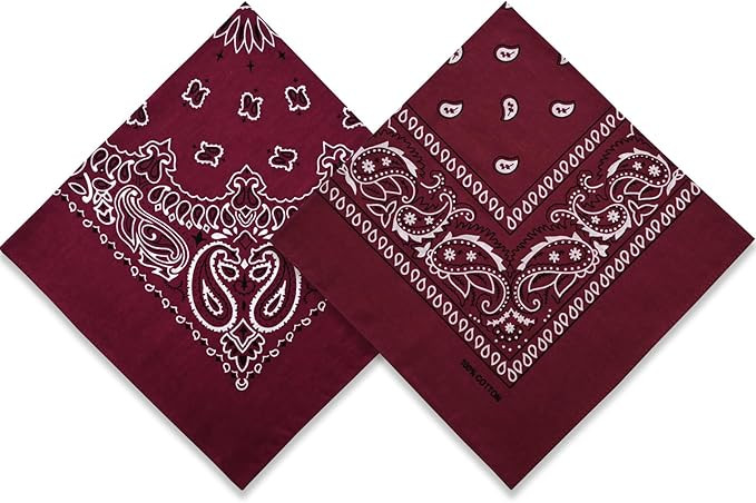 2 Pack Types of Paisley Pattern Bandanas, 22x22 Inches Cotton Bandanas Handkerchief Face Mask for... | Amazon (US)