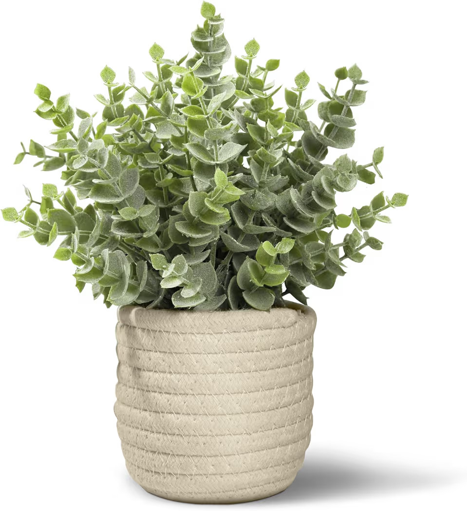 Hopewood Faux Plants, Fake Plants Eucalyptus Potted for Home Office Desk, Artificial Eucalyptus w... | Amazon (US)