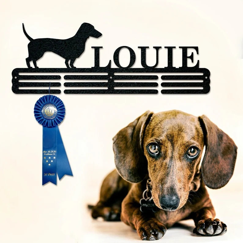 Pet Award Hanger Monogram 12 Rungs for Medals & Ribbons, Metal Sign, Art, Wall Decor - Etsy | Etsy (US)