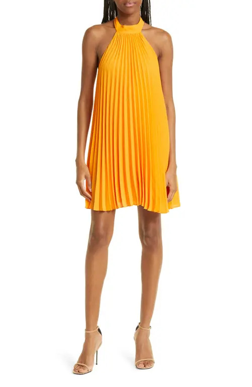 Alice + Olivia Aviana Pleated Halter Neck Shift Dress in Tangerine at Nordstrom, Size X-Small | Nordstrom