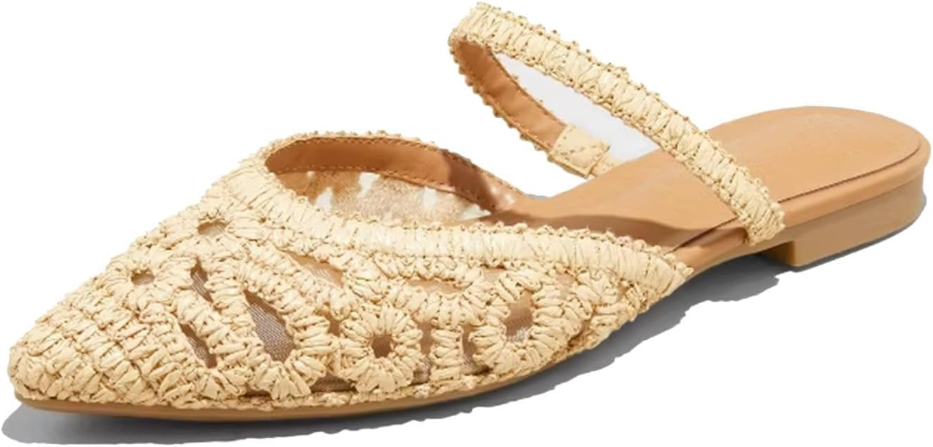 Mesh Mules for Women Comfy Raffia Woven Strap Closed Pointed Toe Mule Flats Casual Slip on Dress ... | Amazon (US)