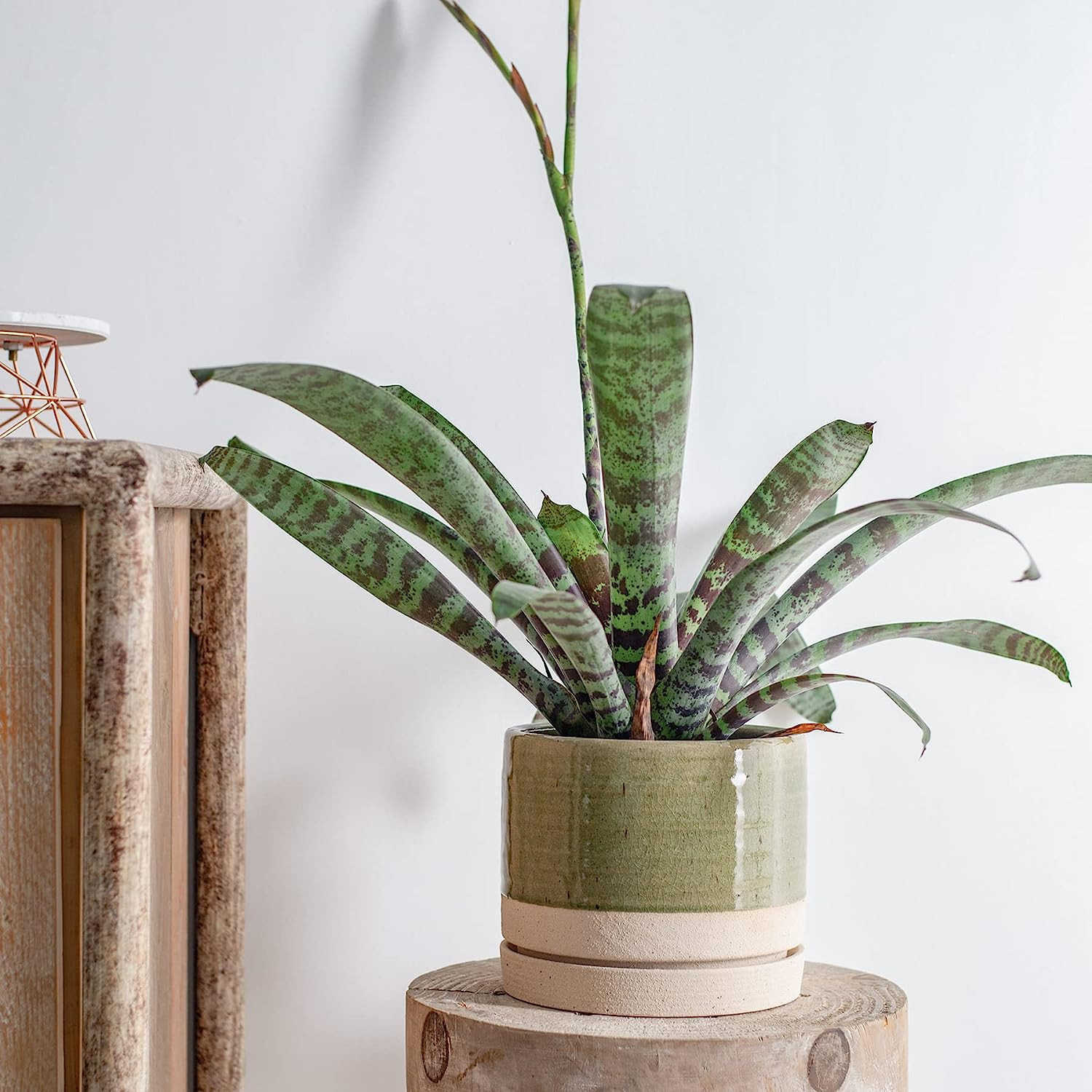 HERDUK 8 Inch Pots for Plants, Ceramic Planter Pot with Drainage Hole & Saucer, Indoor/Outdoor Cy... | Amazon (US)