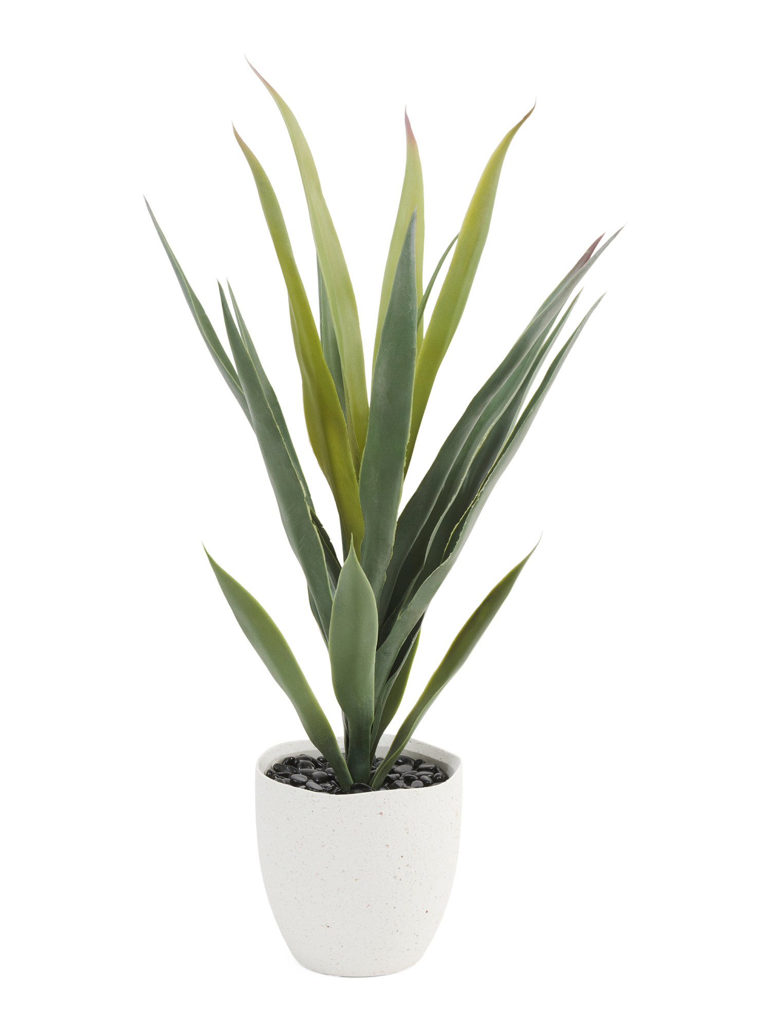 Faux Agave Plant In Pot | Marshalls
