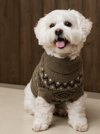 Niall Fair Isle Dog Sweater | Banana Republic (US)