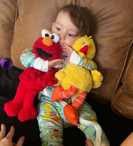 Sesame Street stuffed animals $5 each! They have Elmo, big bird, Oscar the grouch, Cookie Monster and Grover 

#LTKGiftGuide #LTKHoliday #LTKSeasonal