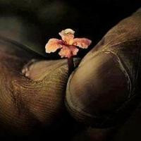 Espremedor de Frutas Mondial Premium em até 24x* no site ou aplicativo. Espremedor de Frutas com... | Casas Bahia (BR)