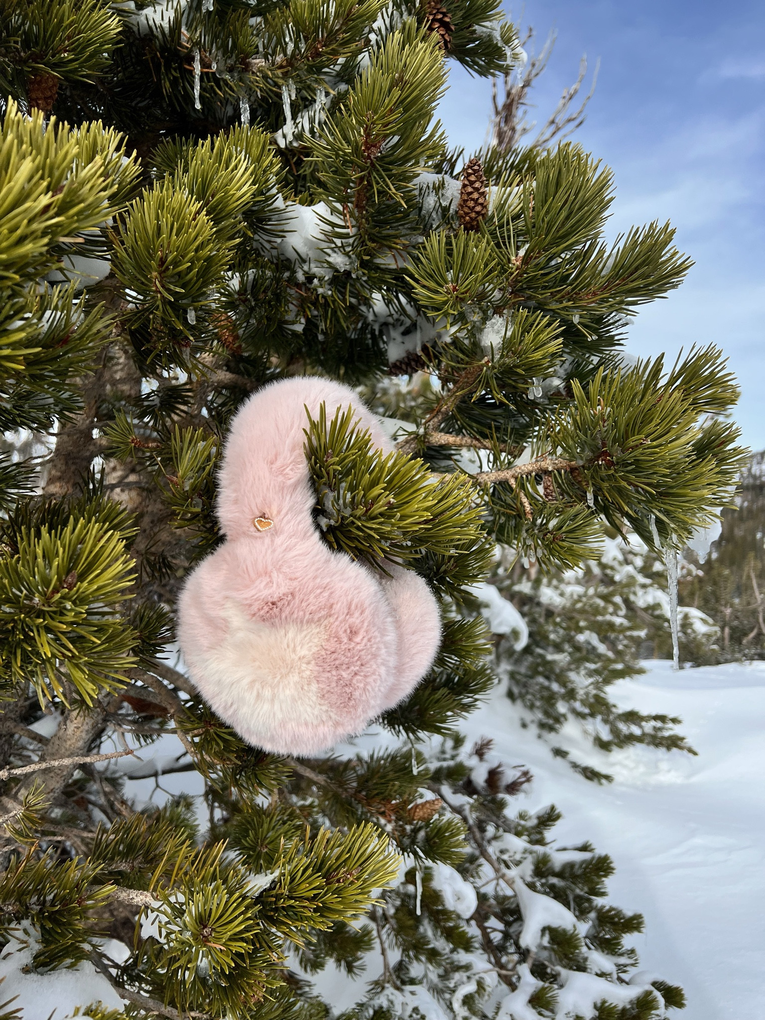 🎀🎄 Merry Christmas everyone! We’re out snow shoeing today! ☃️

With our sugar muffs of course 💅🏻

#earmuffs #snowgear #winteroutfit #emijay #snow 

#LTKHoliday #LTKSeasonal #LTKStyleTip