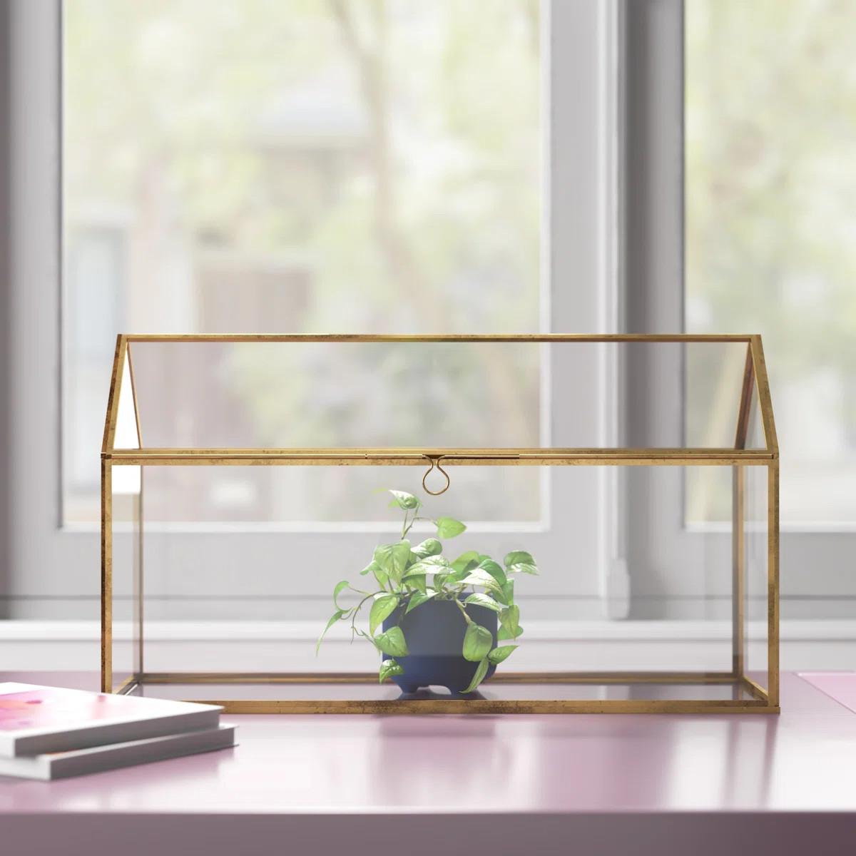 Jago Glass Terrarium | Wayfair North America